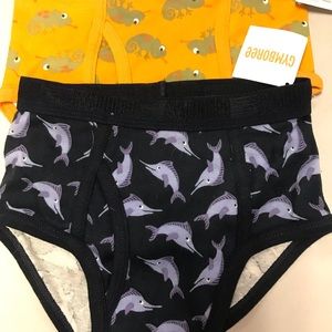 Boy’s Gymboree Underwear Briefs S
